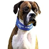 Kool Collar - Small in Black (Includes one Kool tube)