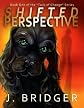 Shifted Perspective (Tails of Change)