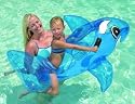 Inflatable Whale Pool Ride-On