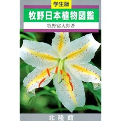 �q����{�A���}�Ӂ\�w����