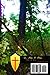 Upon God's Holy Hills: The Guides St. Anthony Of Egypt, St. Bruno of Cologne, St. John Of The Cross
