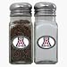 Arizona Wildcats Logo Shaker Set