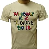 Whatever It Is, I Didn't Do It YOUTH T-shirt, Funny Kids T-shirts