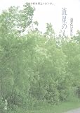 流星の人 (角川文庫)