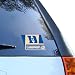 Duke Blue Devils 2010 NCAA Division I Men's Basketball National Champions 4.5 x 6 Ultra Decal Cling
