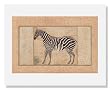 Mansur, Zebra