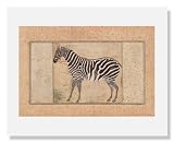 Mansur, Zebra