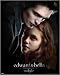 Twilight - Mini Print Movie Poster (Edward & Bella) (Size: 16" x 20")