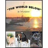THE WORLD BELOW