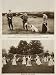 Golf and Netball at Berkhampstead, c.1890 Art Photographic Poster Print, 18x24