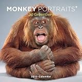 monkey portraits 2012 wall calendar