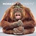 Monkey Portraits 2012 Wall Calendar