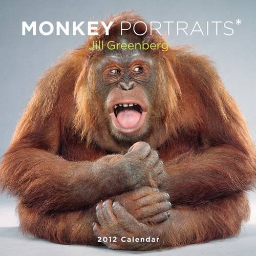 Monkey Portraits 2012 Wall Calendar