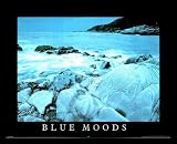 Blue Moods Arctic Ocean Motivational White Wood-Mounted Art Poster Print - 20" X 16"