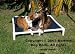 Peluche Guaranteed Chew Resistant Dog Bed - Elevated Dog Cot: XXL