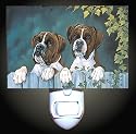 Boxers Decorative Night Light