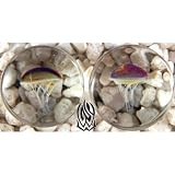 Pair of Glass Double Flared Amber Purple Jellyfish Plugs: 0g Clear
