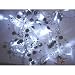 Creative Motion Industries 12878 78.74 in. L 40 Warm White Led Pearl Lights-Black and White