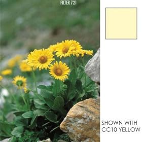 Click here to buy Cokin A 727 CC 40Y - Filter - color correction - yellow by Cokin.