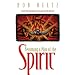 Becoming a Man of the Spirit