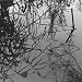 Swanlights Ep [Edizione: Germania]