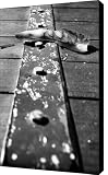 Unread Canvas Print - Canvas Art