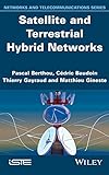 Satellite and terrestrial hybrid networks