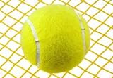 Tennis Ball - 24