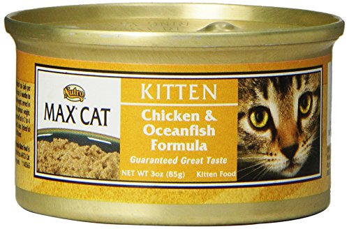 NUTRO MAX CAT Kitten Chicken and Oceanfish Formula Canned Cat Food (Pack of 24)