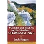 Scenes & Walks in the Northern Shawangunks