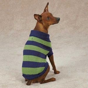 Casual Canine ZM3915 20 43 Rugby Sweater for Dogs, Large, Green