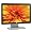 HP W1907 19-inch Widescreen Flat Panel LCD Monitor