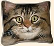 Fiddlers Elbow- Tabby Cat Pillow