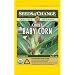 Seeds of Change S13422 Certified Organic Chires Baby Corn, 150 Seed Count