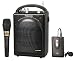 PYLE-PRO PWMA200 Wireless Microphone System