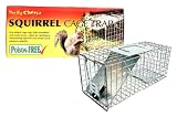 The Big Cheese - Squirrel Cage Trap