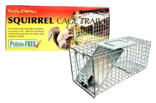 The Big Cheese - Squirrel Cage Trap