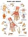 Hand and Wrist Anatomical Chart