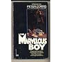 The Marvelous Boy