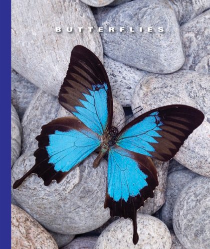 Butterflies (The World of Insects)