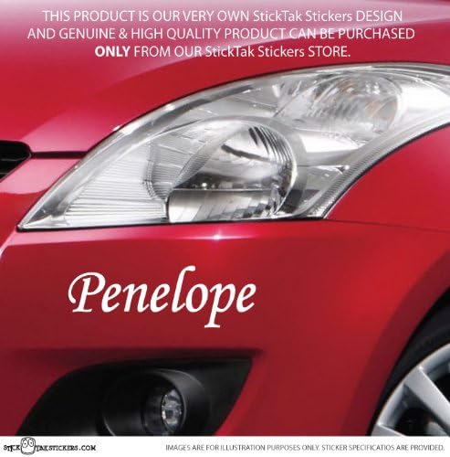 2 x Custom Personalised Name Car or Motorbike Vinyl Decal Bumper Sticker ST1102