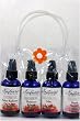Essential Oil - Perfect Radiance, Hormone Balance, Calm & Breast Support - Gift Pack Includes Full Size Bottle of Each Formula - Four 2 Ounce Bottles - Certified Organic - Made in USA