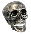 Metallic Skull