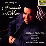 The Artistry of Fernando de la Mora