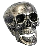 Metallic Skull