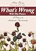 What's Wrong With This Picture:A Return to Authentic Christianity at Amazon Books: 51X-08lYt0L._SL75_