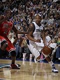 Chicago Bulls v Dallas Mavericks: Caron Butler and Luol Deng Photographic Poster Print by Danny Bollinger, 42x56