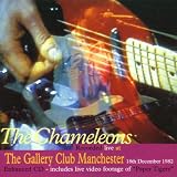 Live at the Gallery Club 1982
