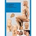 Verst�ndlich modellieren: Der menschliche K�rper
