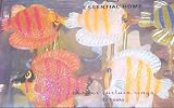 12 Tropical Fish Resin Shower Curtain Hooks (Clear)